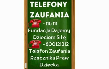 Strategia ochrony małoletnich w Szkole Podstawowej im. Szarych Szereg&oacute;w w Mrozach Wielkich