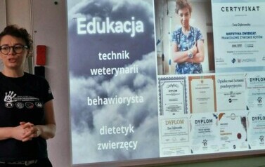 Koty, kotki, koteczki....