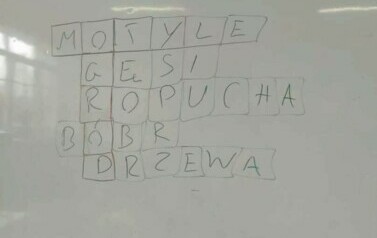 Powitaliśmy wiosnę!