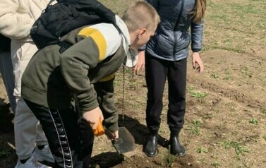 Posadziliśmy las!