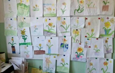 Udział w akcji edukacyjno - społecznej "Żonkile"