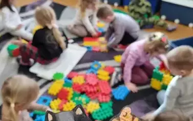 Dzień Kota