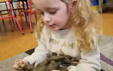 Dzień Dinozaura u przedszkolak&oacute;w