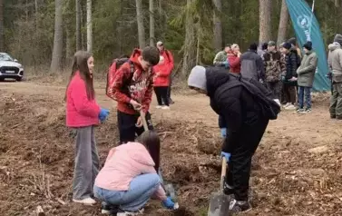 Posadziliśmy las!