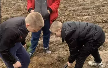 Posadziliśmy las!