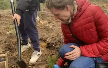 Posadziliśmy las!