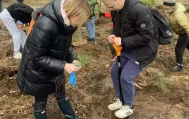 Posadziliśmy las!