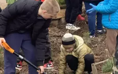 Posadziliśmy las!
