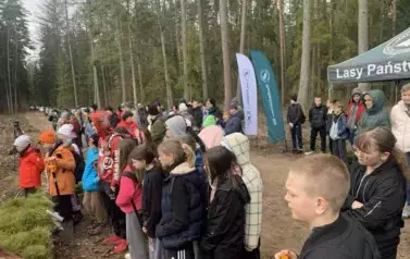 Posadziliśmy las!