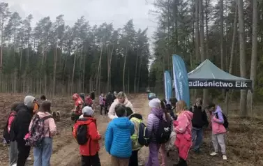 Posadziliśmy las!