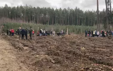 Posadziliśmy las!