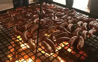 Posadziliśmy las!
