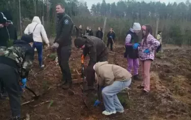 Posadziliśmy las!