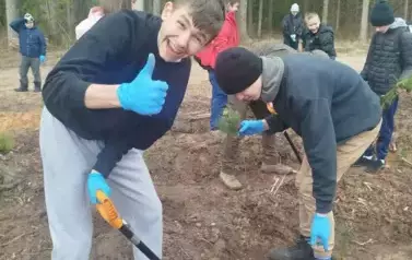 Posadziliśmy las!