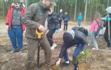 Posadziliśmy las!