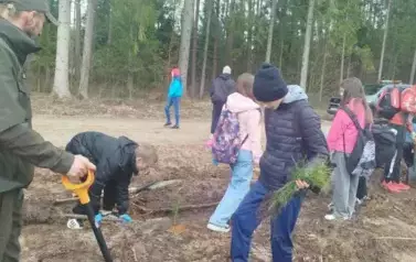 Posadziliśmy las!
