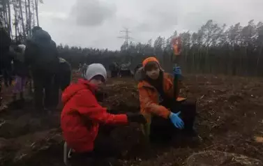 Posadziliśmy las!