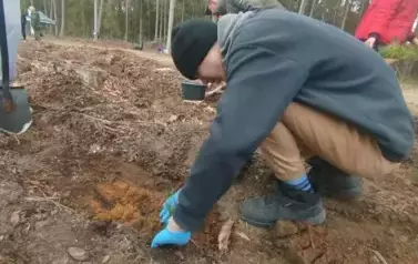 Posadziliśmy las!