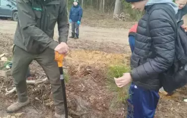 Posadziliśmy las!