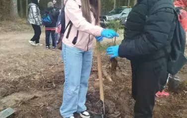 Posadziliśmy las!