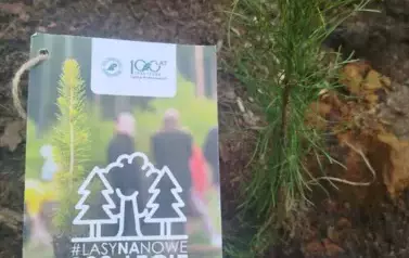 Posadziliśmy las!