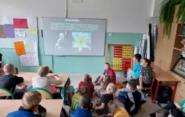 Akcja "Żonkile"