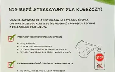 Zajęcia profilaktyczne "Nie bądź atrakcyjny dla kleszczy!"