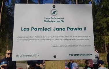 Tabliczka umiejscowiona w miejscu, gdzie społeczność szkoły posadziła młode drzewka. Na tablicy znajdują się informacje: zielone logo Las&oacute;w Państwowych Nadleśnictwa Ełk, nazwa "Las Pamięci Jana Pawła II", słowa papieża skierowane do ambasadora RP: "Stając
