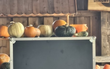 Wycieczka do Podlaskiej Toskanii