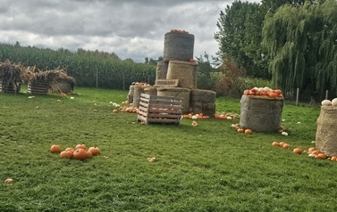 Wycieczka do Podlaskiej Toskanii