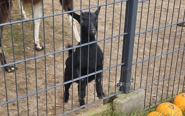 Wycieczka do Podlaskiej Toskanii
