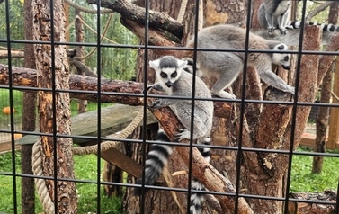 Wycieczka do Podlaskiej Toskanii