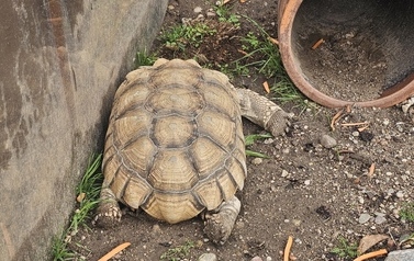 Wycieczka do Podlaskiej Toskanii