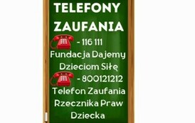 Strategia ochrony małoletnich w Szkole Podstawowej im. Szarych Szereg&oacute;w w Mrozach Wielkich