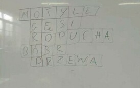 Powitaliśmy wiosnę!
