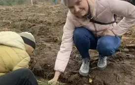 Posadziliśmy las!