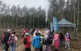 Posadziliśmy las!