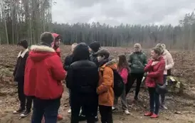 Posadziliśmy las!
