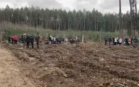 Posadziliśmy las!