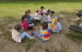 Czytanie na polanie