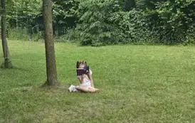 Czytanie na polanie