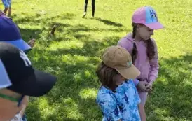 Piknik szkolny