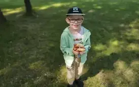 Piknik szkolny