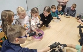 Pom&oacute;żmy ptakom przetrwać zimę
