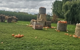 Wycieczka do Podlaskiej Toskanii