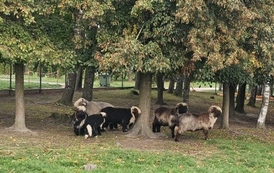 Wycieczka do Podlaskiej Toskanii