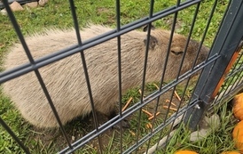 Wycieczka do Podlaskiej Toskanii
