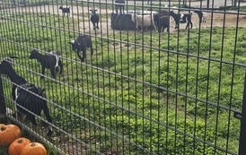 Wycieczka do Podlaskiej Toskanii