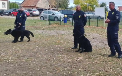 Zdjęcie do Spotkanie z policjantami