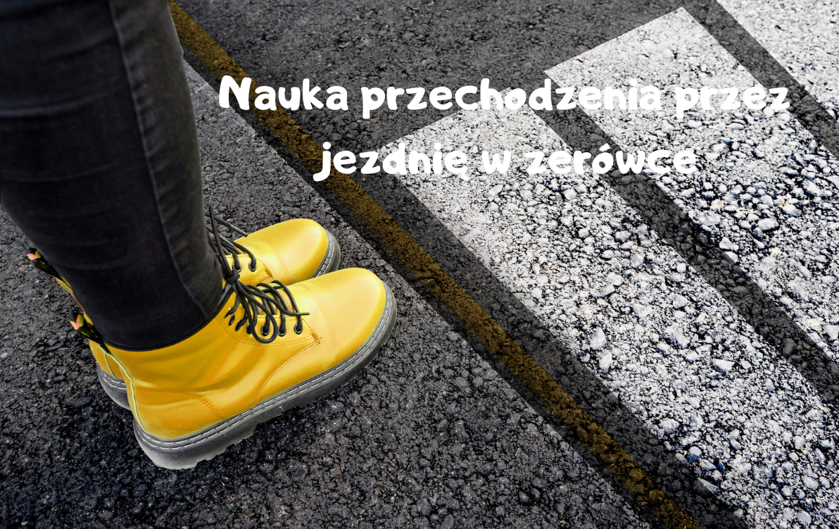 Zdjęcie do Nauka przechodzenia przez jezdnię w zer&oacute;wce